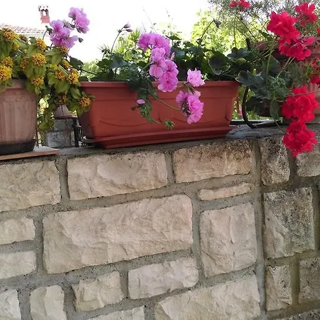 Appartement Ana